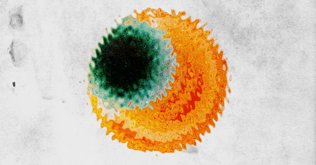 Sun Down Circle with Archie, Mr. Ho, Mehdi M