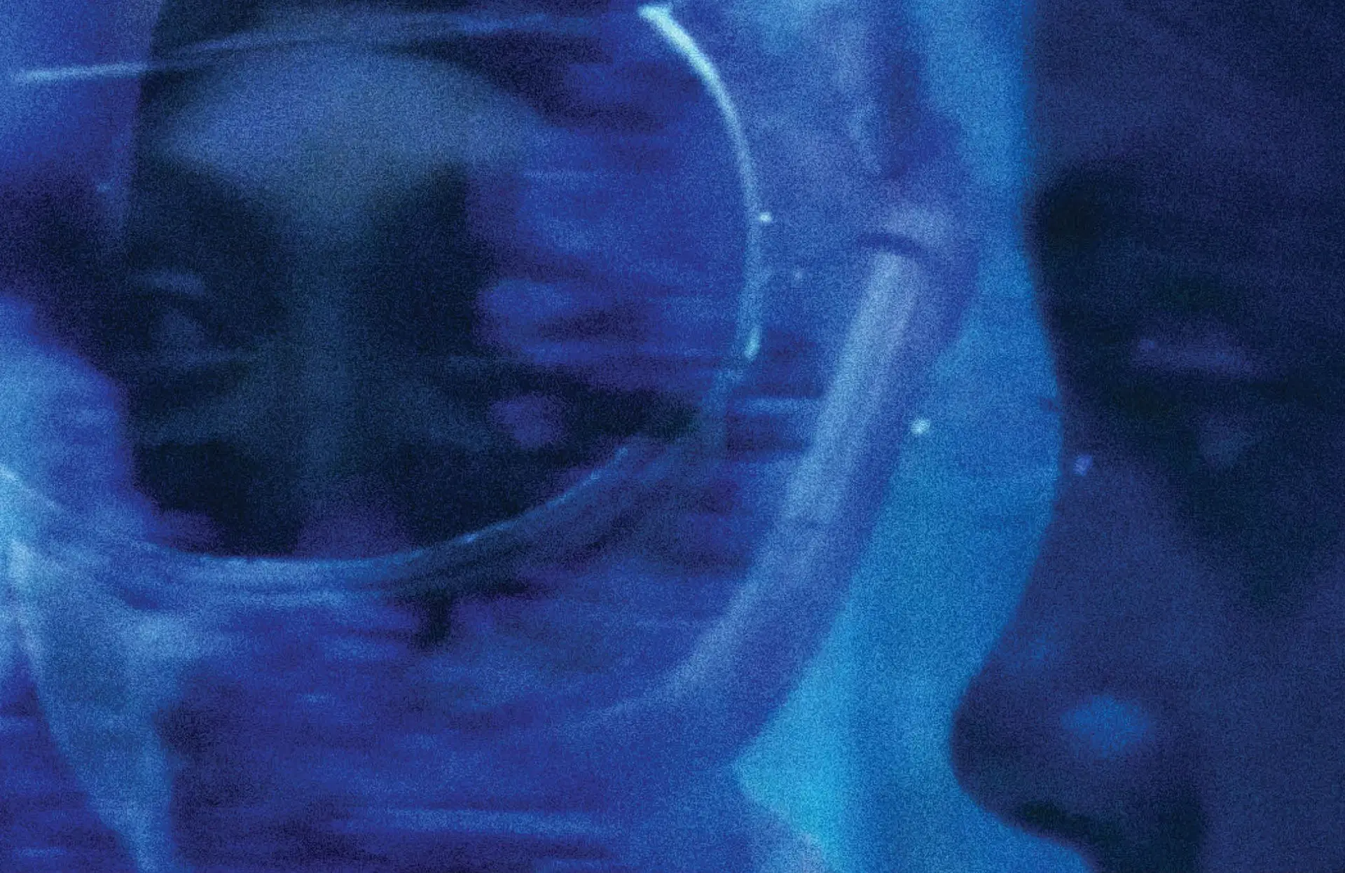 Blue Carbon - jpg.jpg