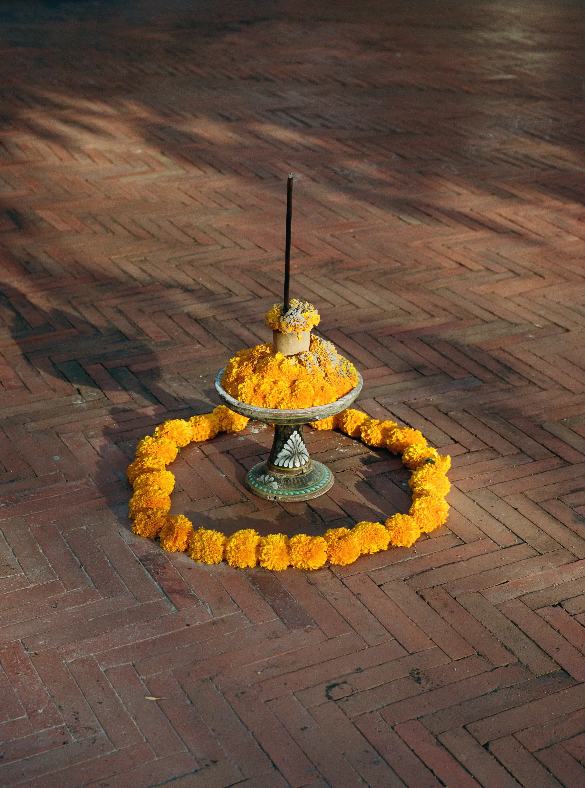 Credit Jess GoughDOCUMENT_POTATO-HEAD_17.jpg