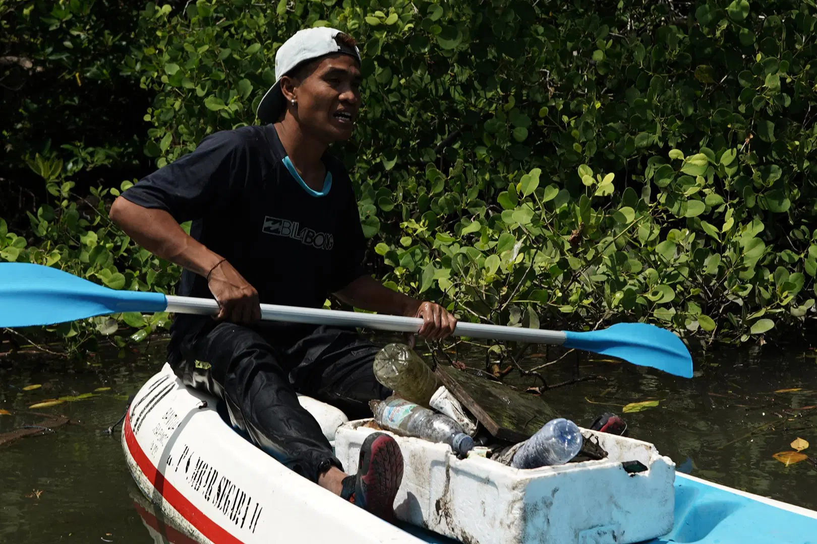 Mangrove Conservation