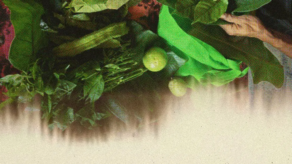 Desa Potato Head - Foraging Dinner - Dome.jpg