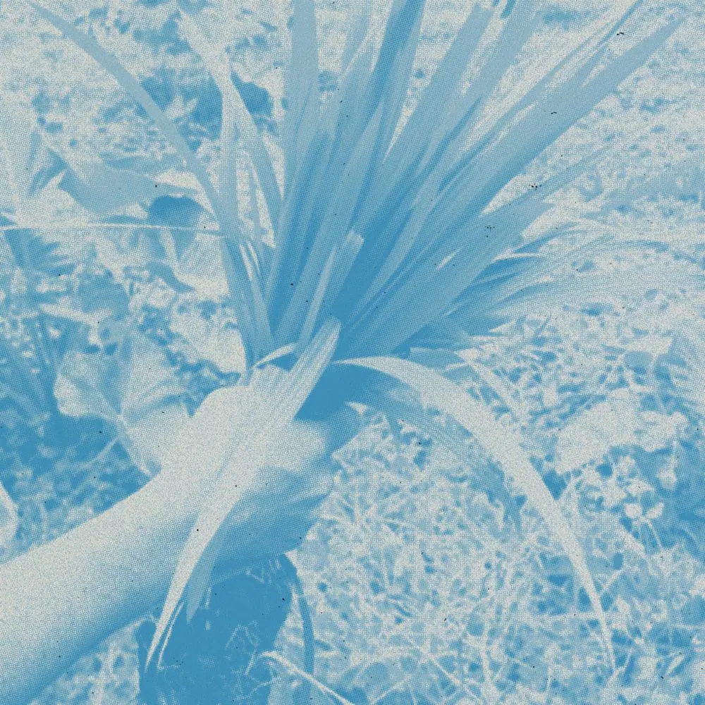 Dome_Foraging Dinner_October 2024.jpg