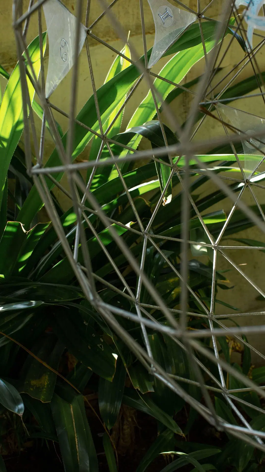 Dr Lawrence Blair GeoStar (3).jpg