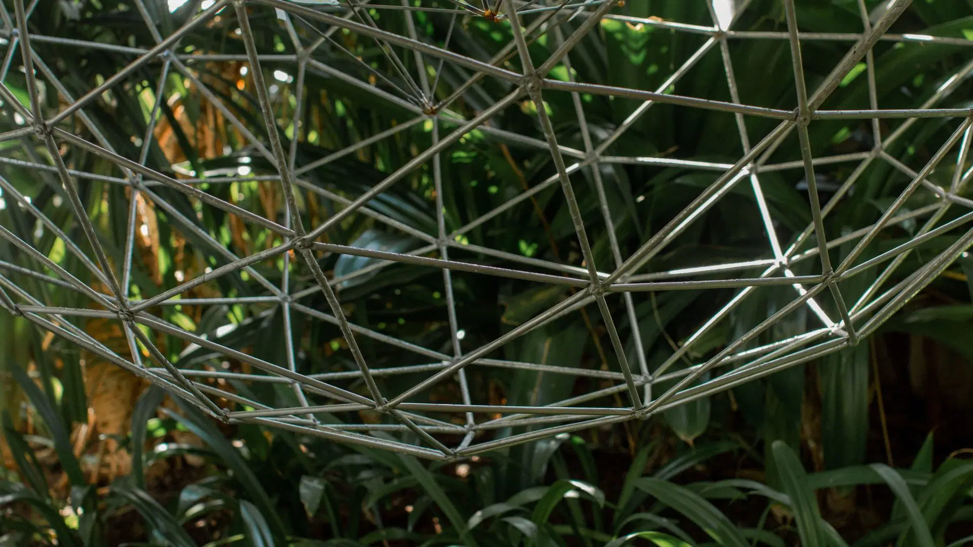 Dr Lawrence Blair GeoStar (5).jpg