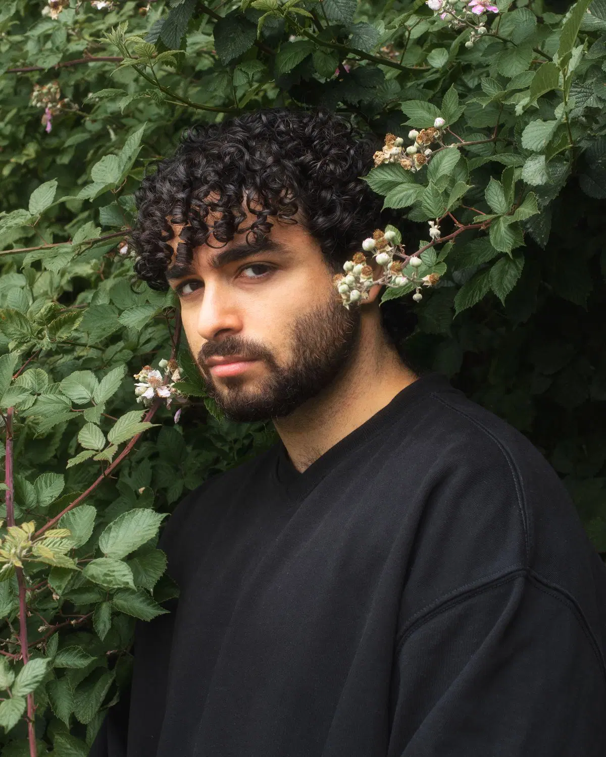 Fafi Abdel Nour.jpg