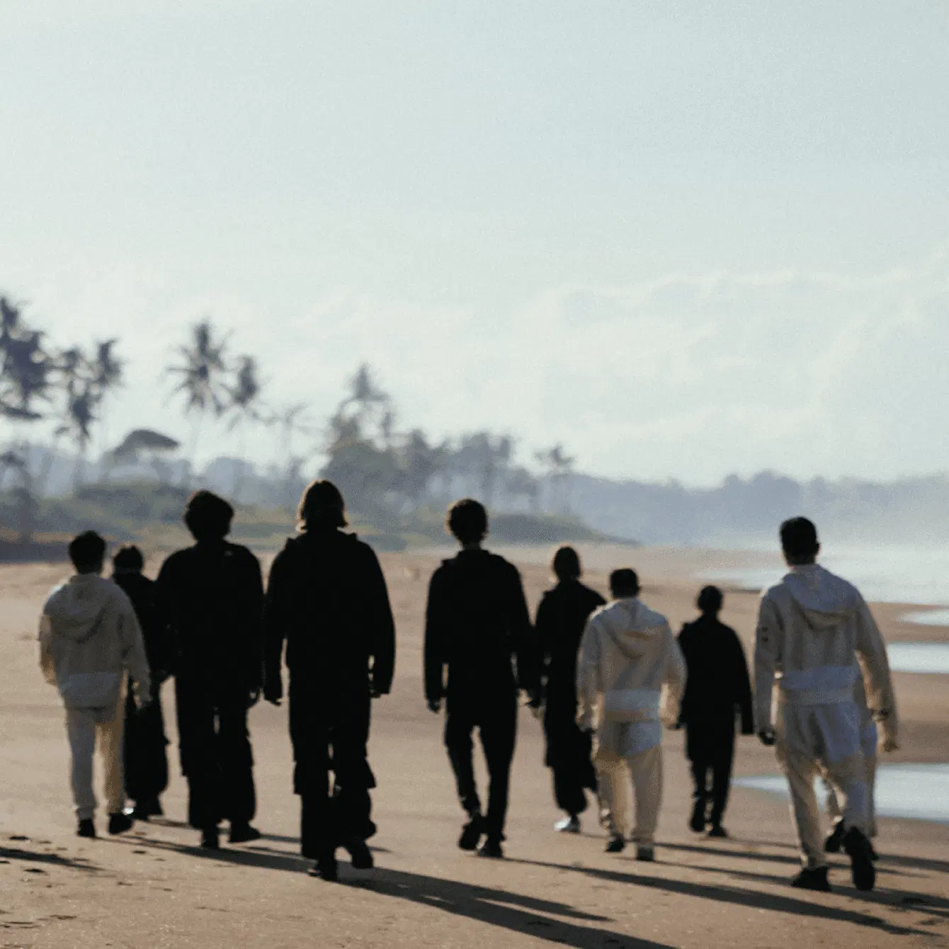 wasted-collective-beach-clean-up.png