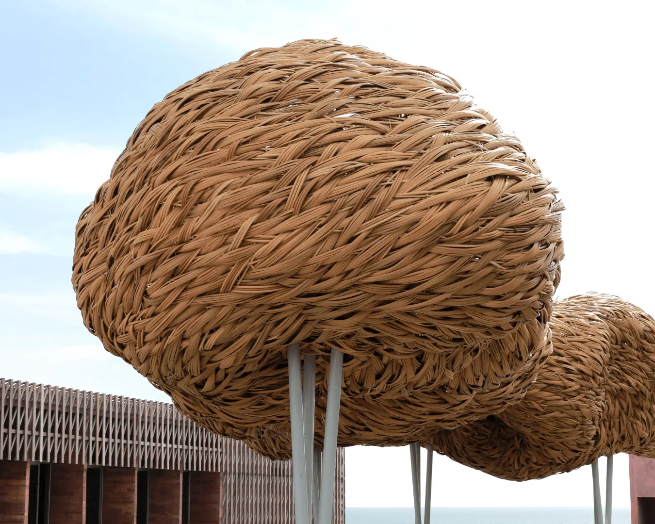 Joko Avianto Woven Clouds (1).png