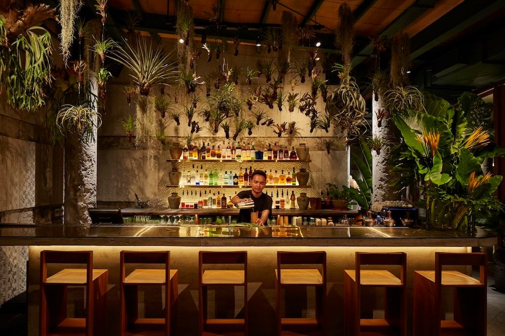 KAUM-bar.jpg