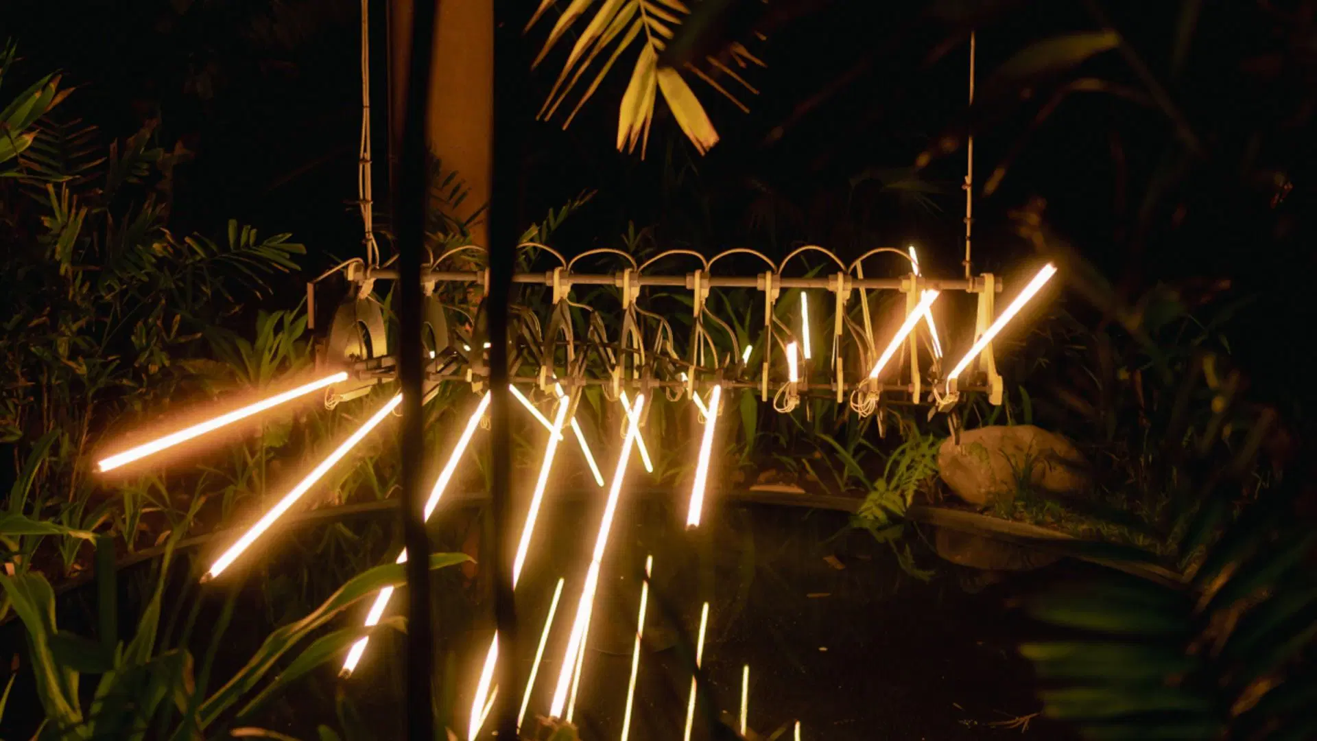 Michael Candy Big Dipper (5).jpg