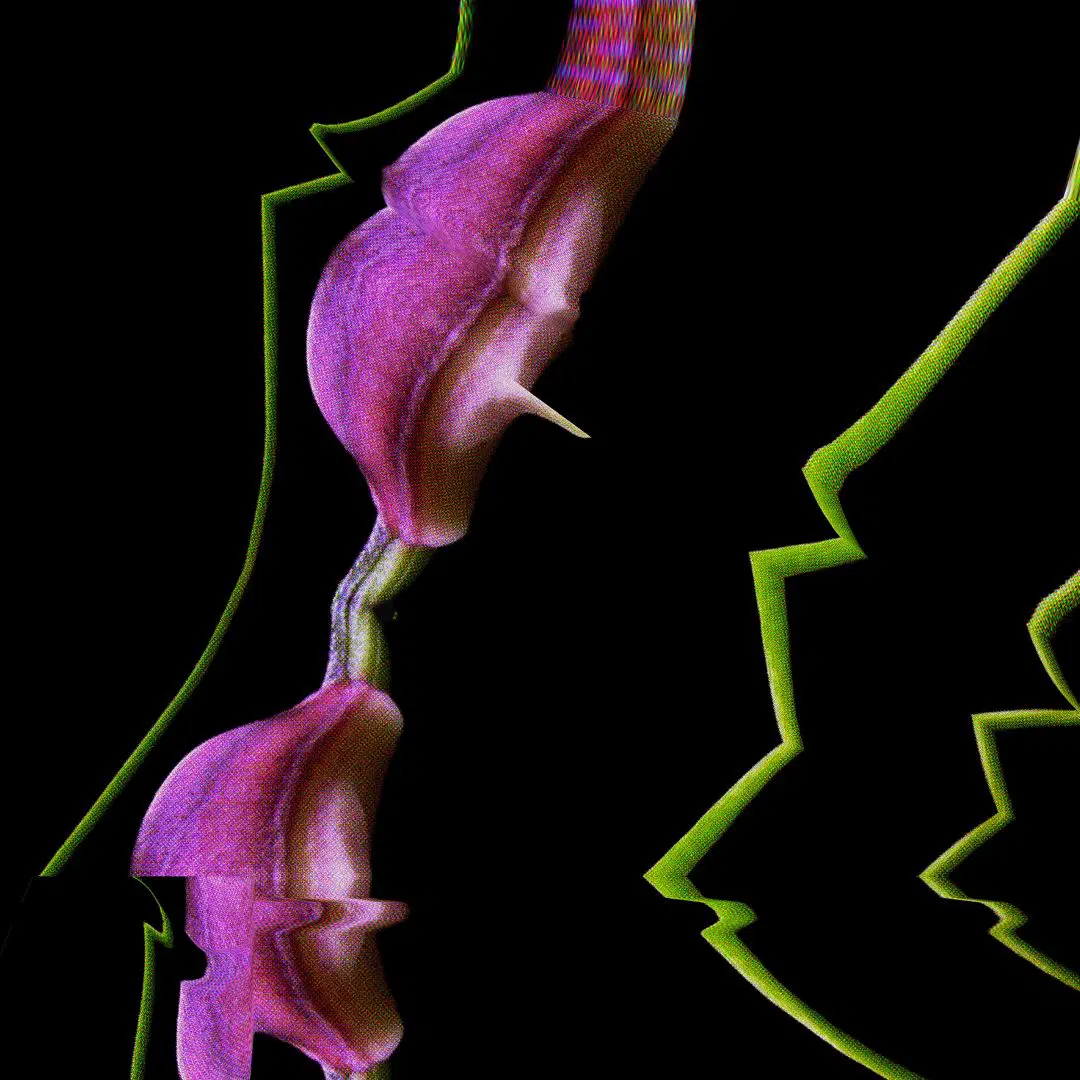 night-moves-november-2024_Desa Potato Head Bali.jpg