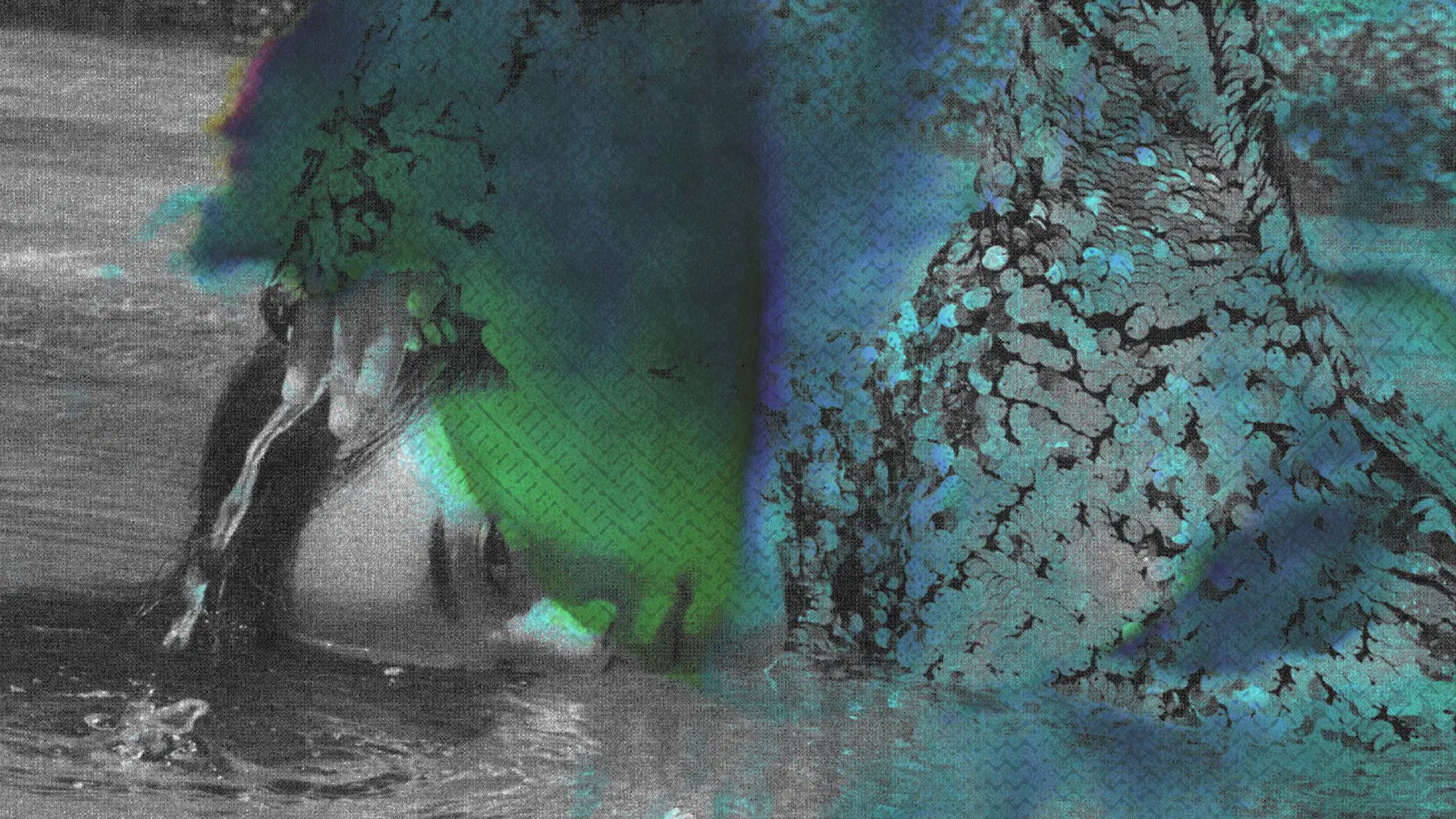 Potato Head Bali - Light Sound Vibration - Series 001 - Notep.jpg