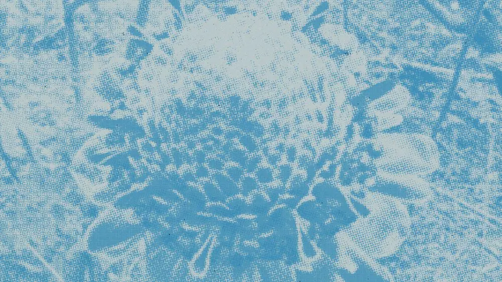 Potato Head-Dome-Foraging Dinner-September 2024.jpg