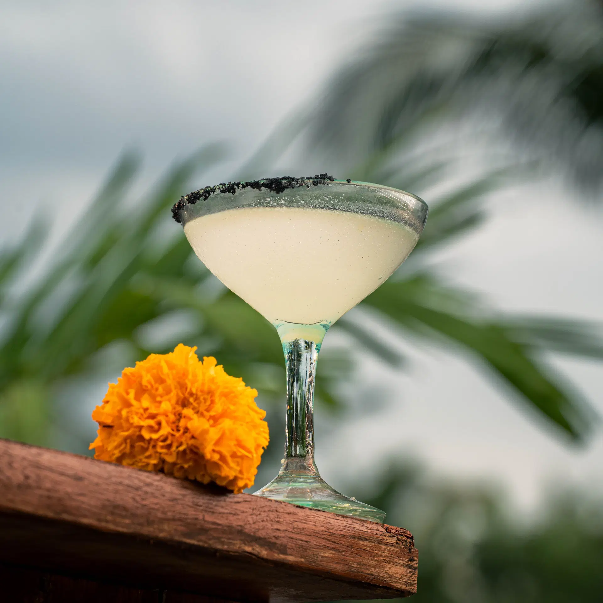 SQ Amphitheatre Cocktails - 2.jpg