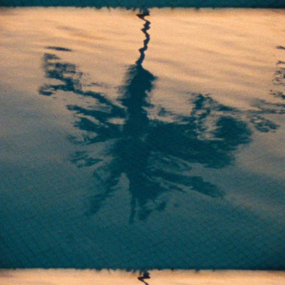 AM/PM: Michael Tartaglia