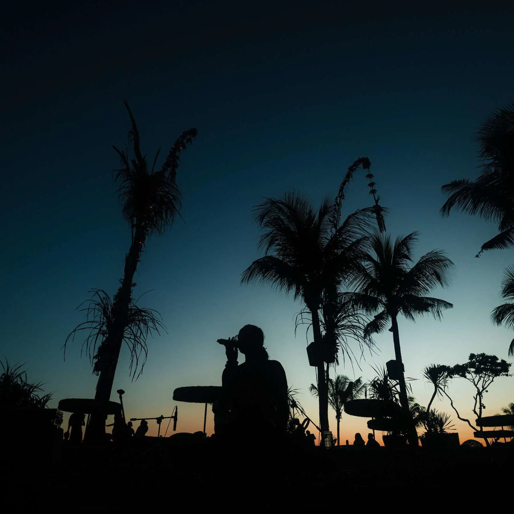 crown ruler x potato head present magnetic island archive (m.i.a)