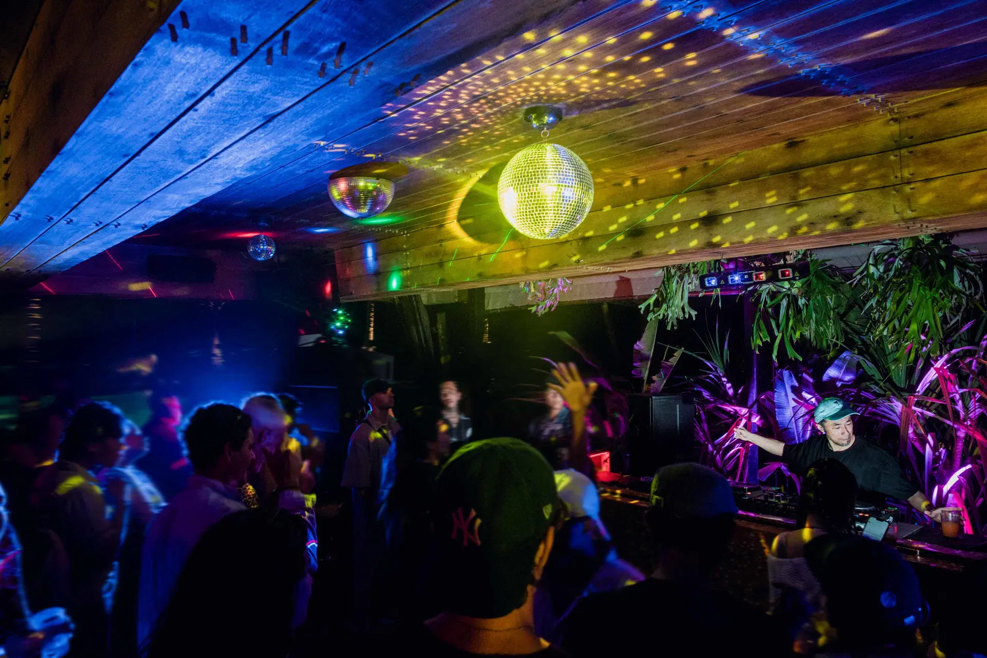 gallery - NM - 15mar - 1.jpg