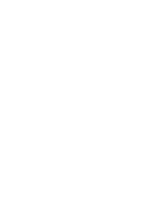 Cerified B Corporation