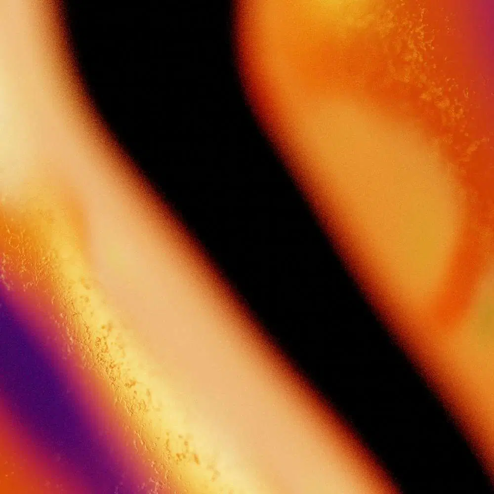 night-moves-dec-2022-thumbnail.jpeg