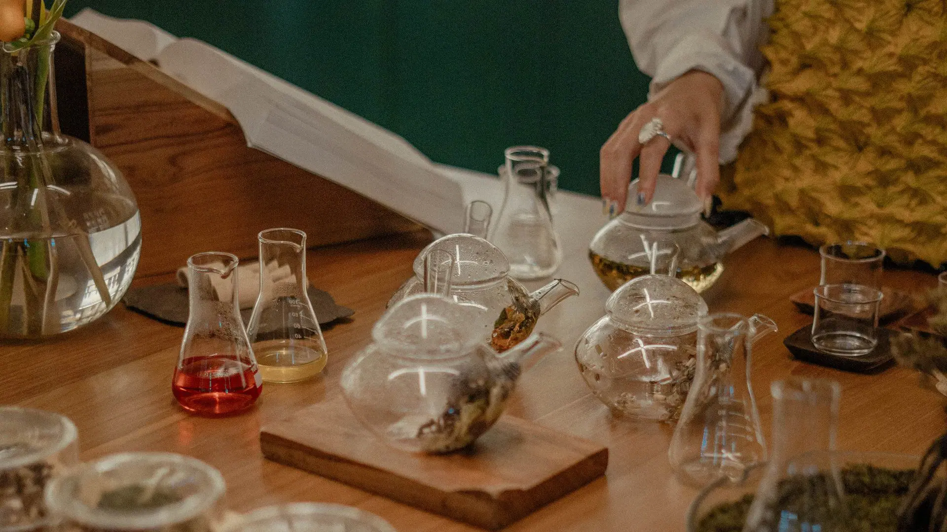 plant medicine workshop- gallery 2.jpg