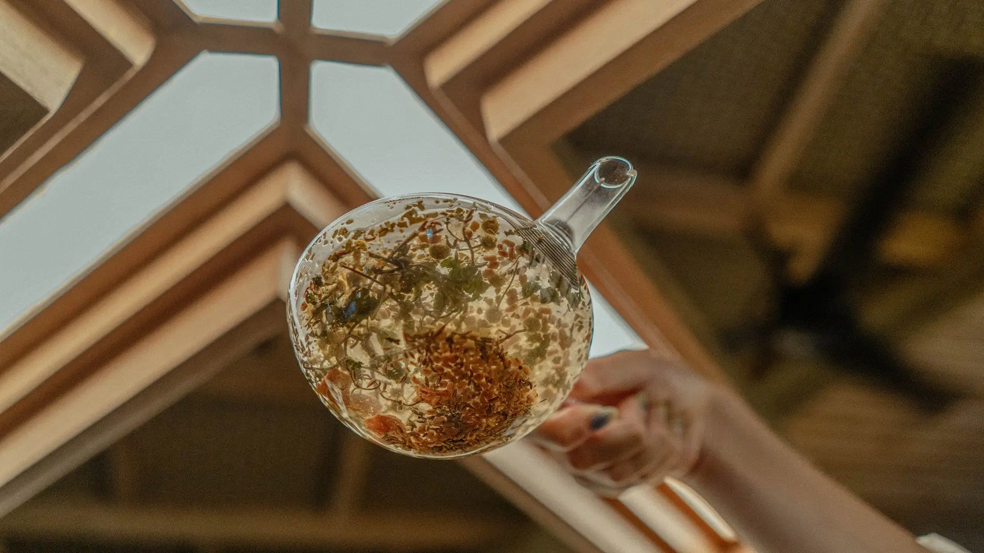 plant medicine workshop- gallery 3.jpg