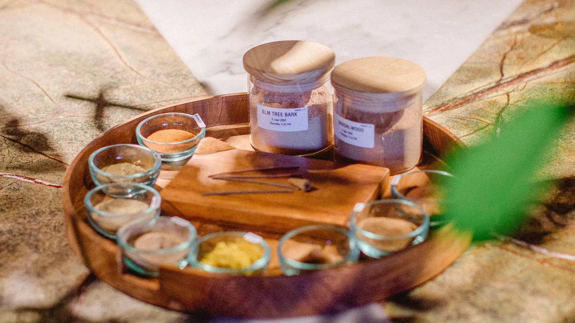 plant medicine workshop- gallery 5.jpg