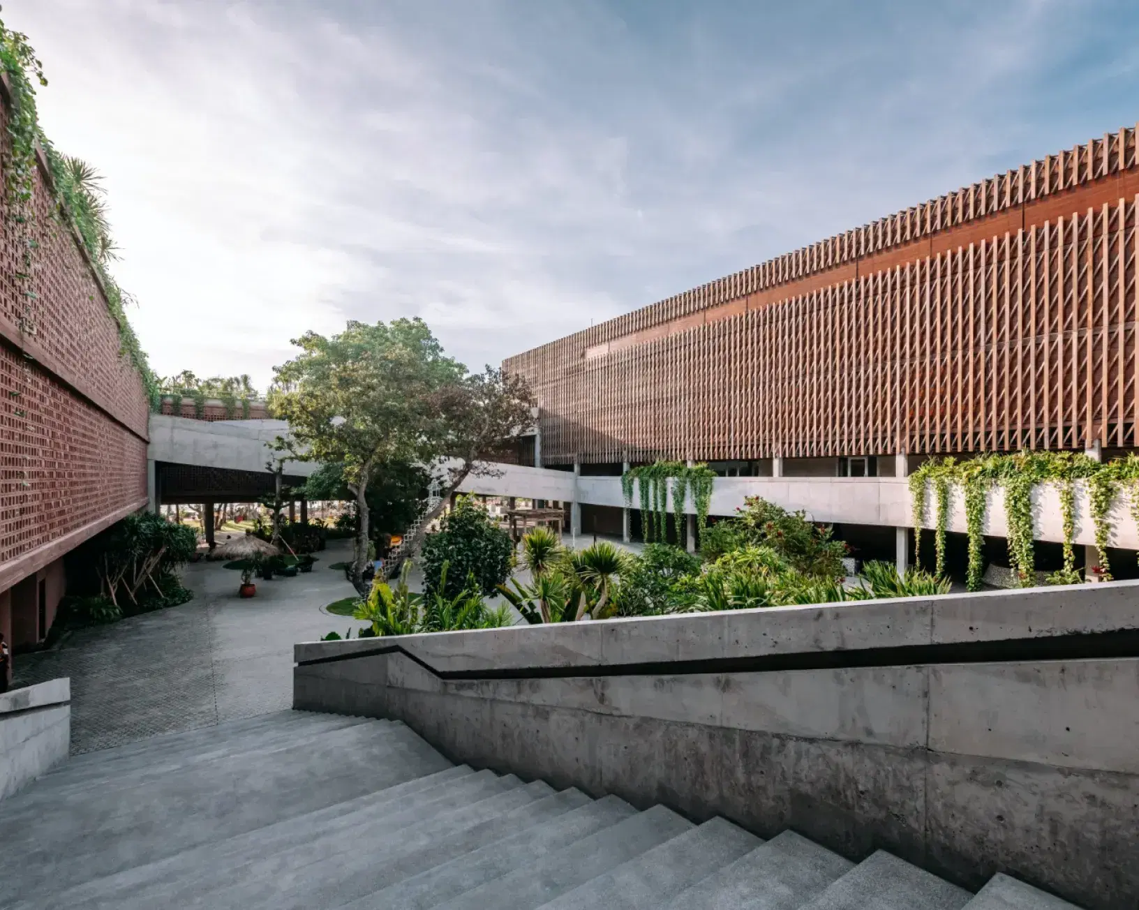 potato-head-x-oma-1 (2).jpg