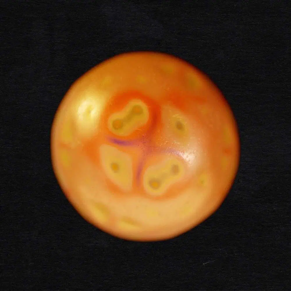 sun-down-circle-dec-2022-thumbnail.jpeg