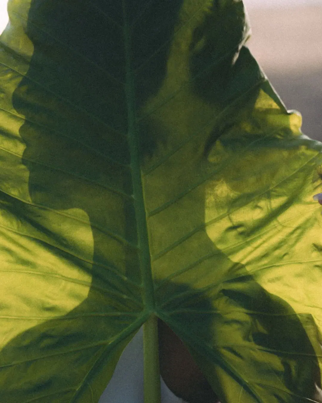 Wellbeing is how we feel.